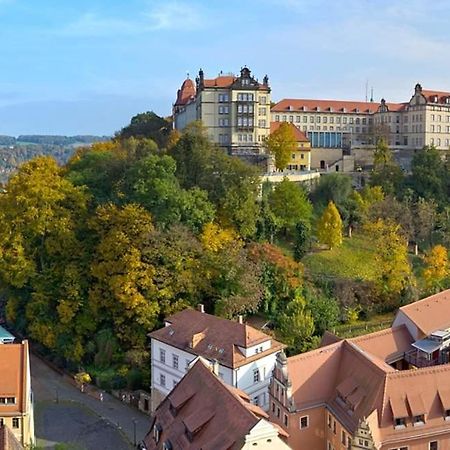 Apartment Altstadt Пирна Экстерьер фото