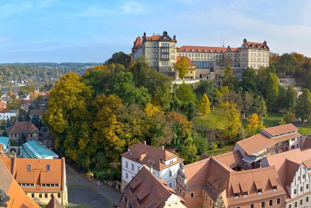 Apartment Altstadt Пирна Экстерьер фото